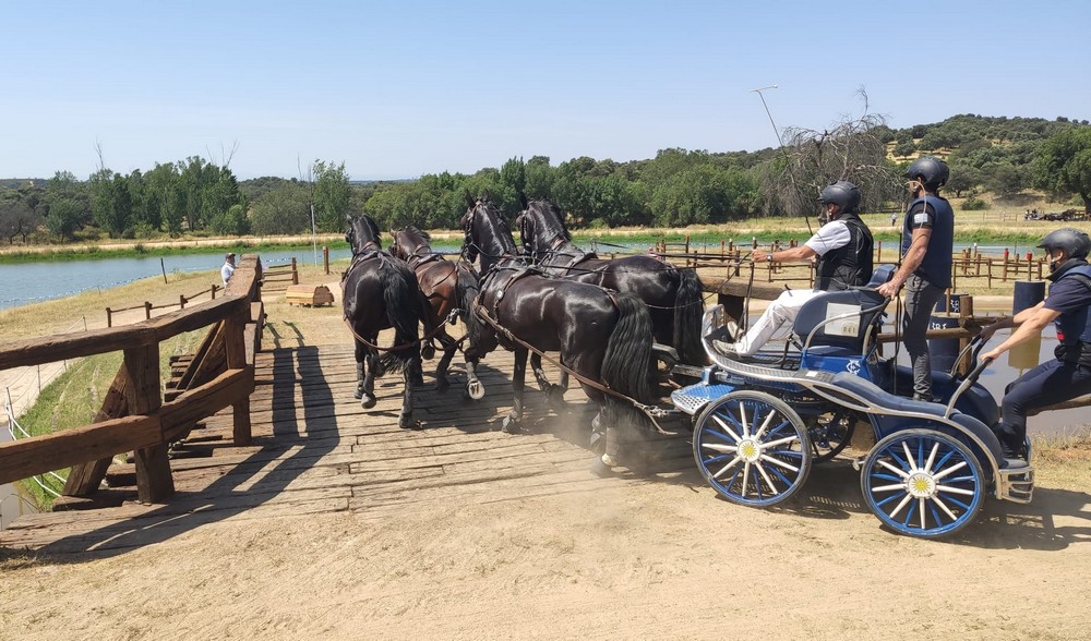 Triple podio Navarro en el Campeonato de España de Enganches